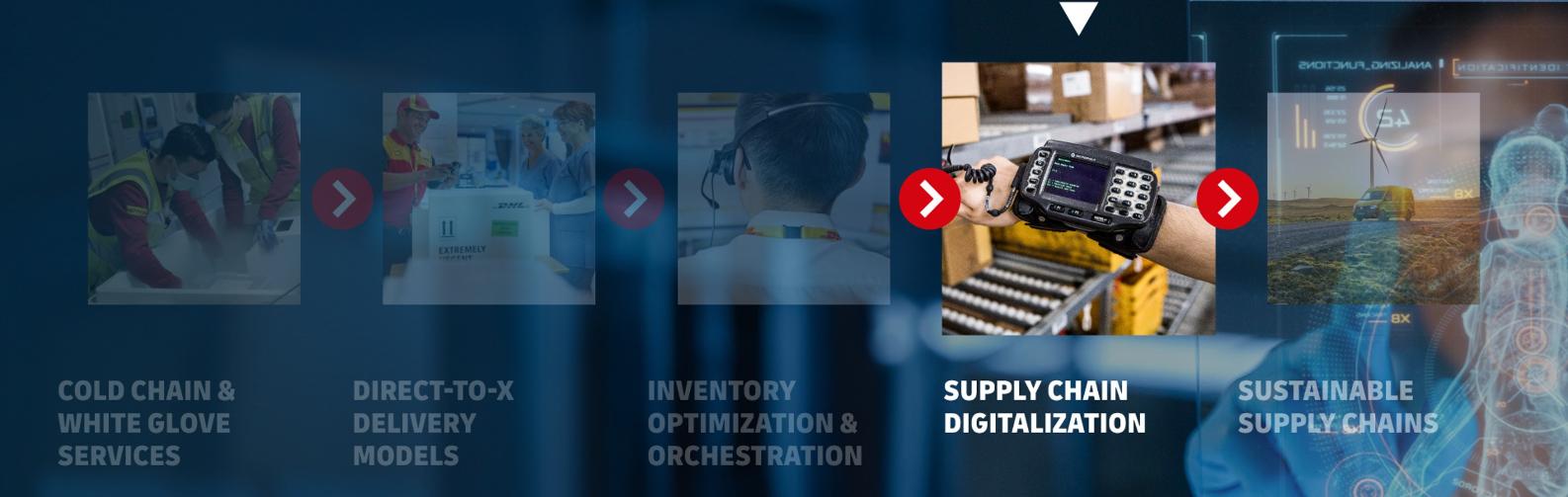 Supply Chain Digitalization Global