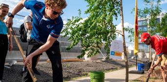 Tree planting