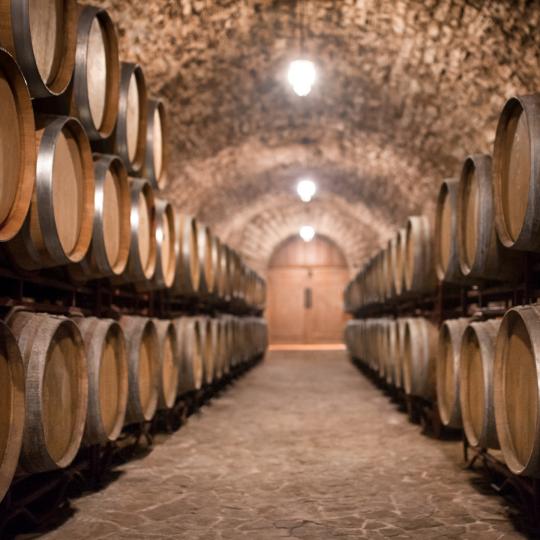 Wine barrels in a wine cellar