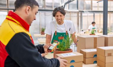 Person packing boxes