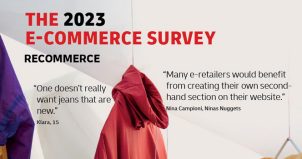 ecommerce survey