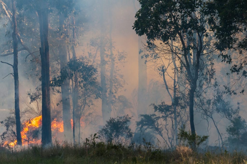 Warmer temperatures are expected in the coming weeks, which could worsen Australia’s bushfire crisis.