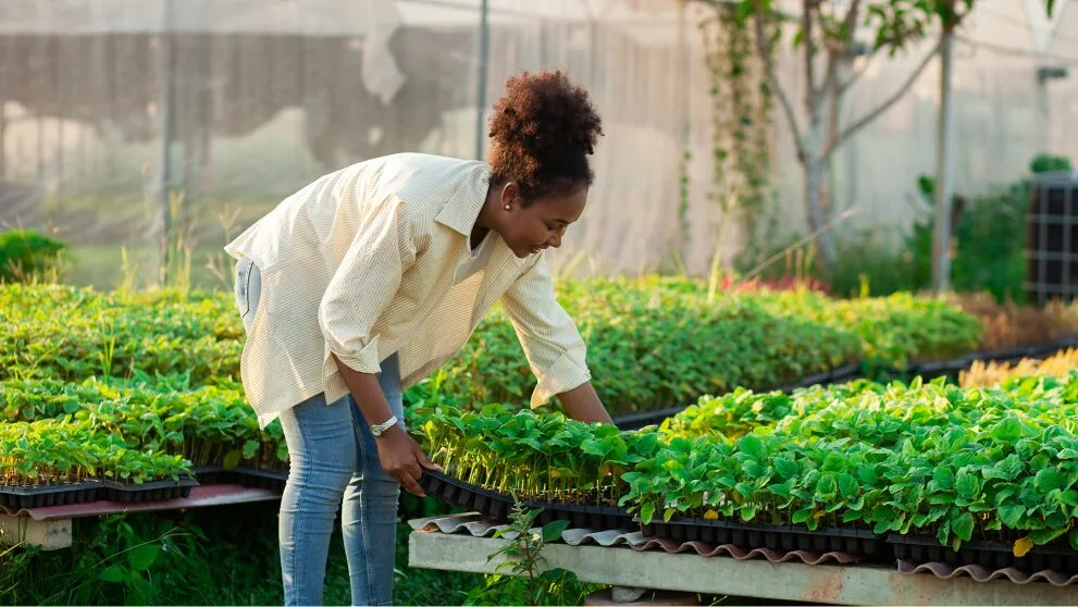 Transforming Small Farms into Big Business in Kenya