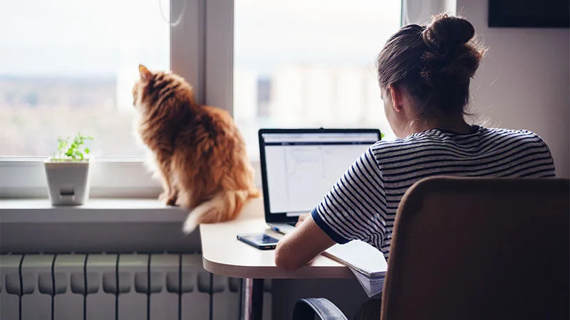 man looking at laptop screen