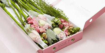 flowers in a box