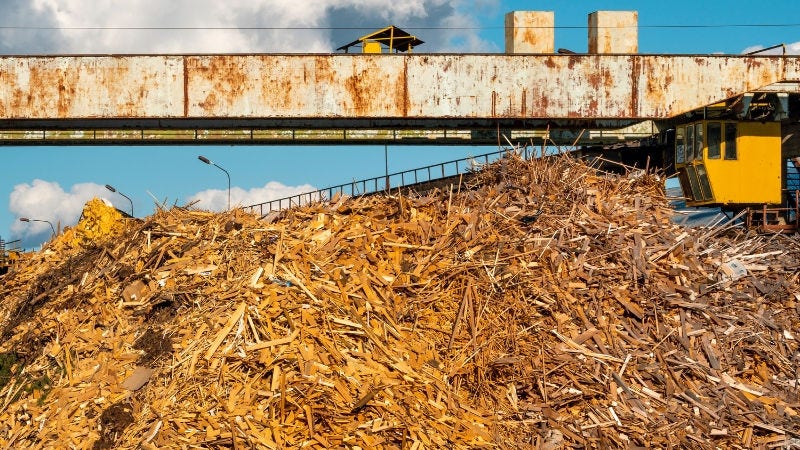 woody biomass being harvested for conversion into sustainable aviation fuel