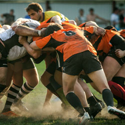 Scrum