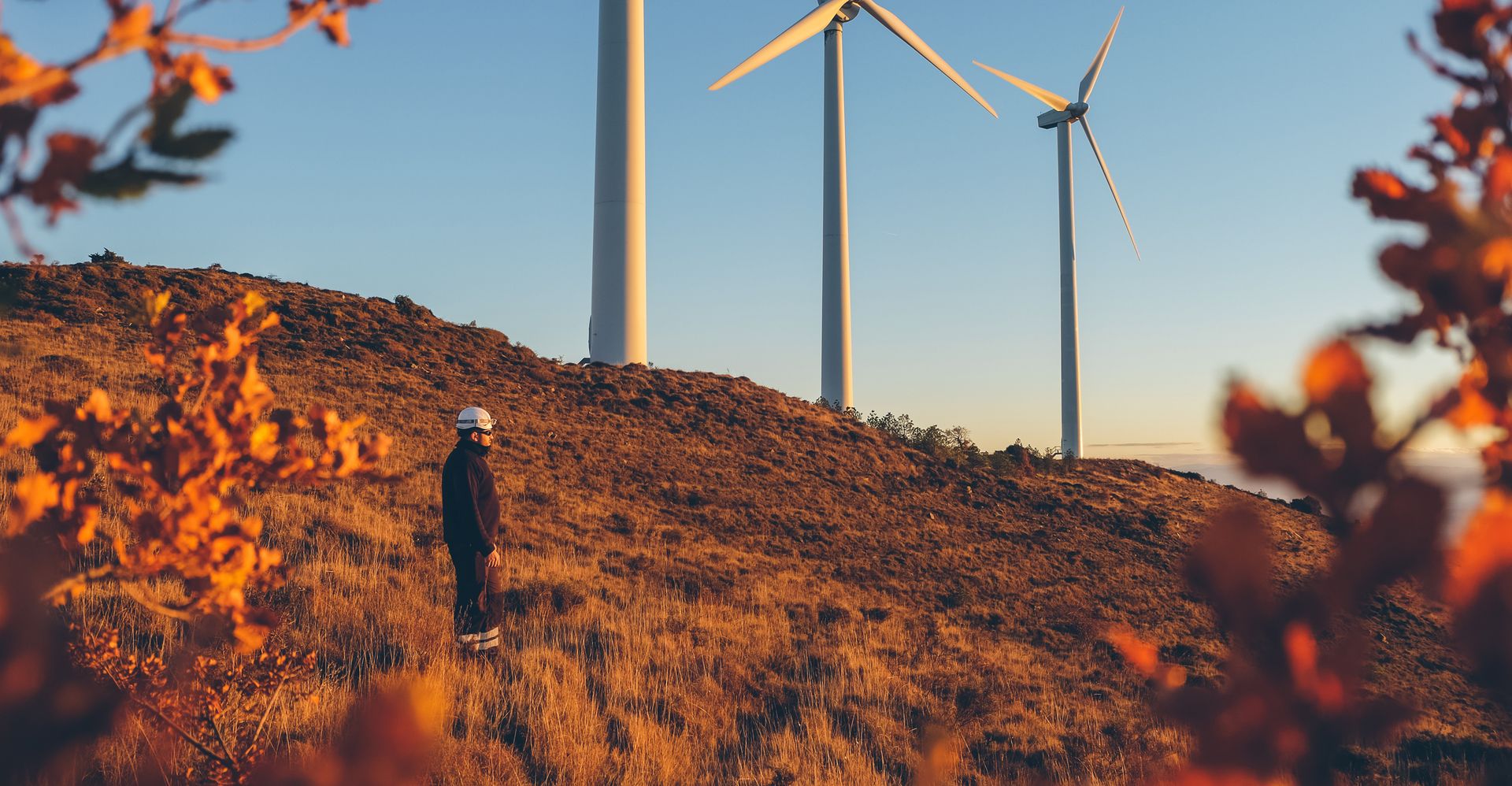 wind turbines generating sustainable energy for industry in Indonesia