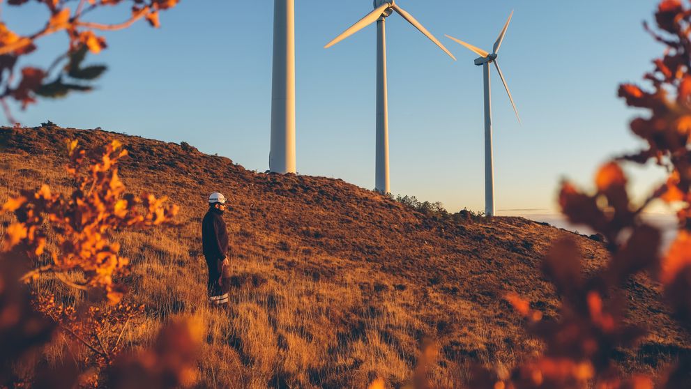 wind turbines generating sustainable energy for industry in Indonesia