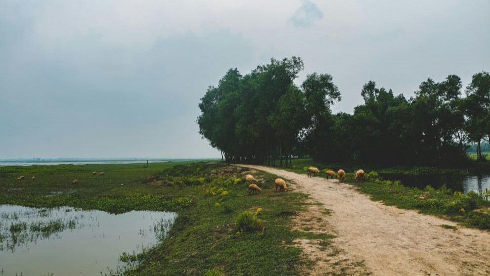 A single track road surrounded by water